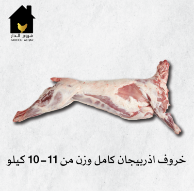 خروف اذربيجان كامل وزن من 10-11 كيلو
