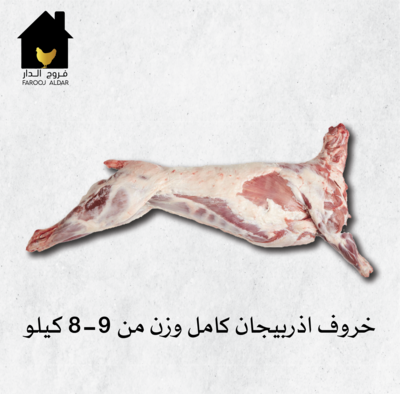 خروف اذربيجان كامل وزن من 8-9 كيلو