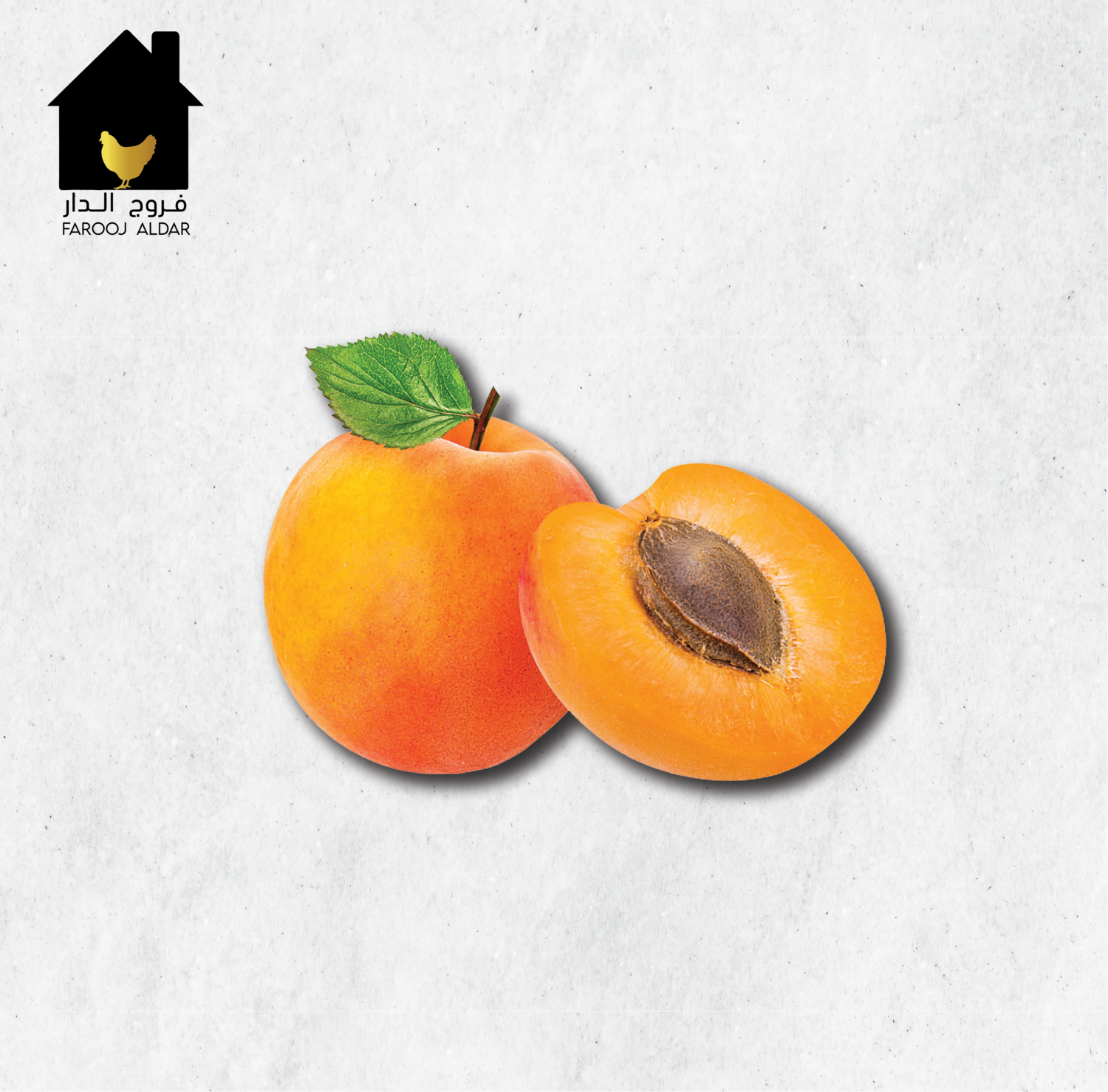 مشمش