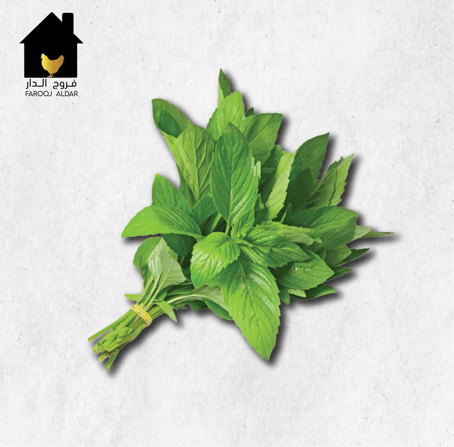 نعناع
