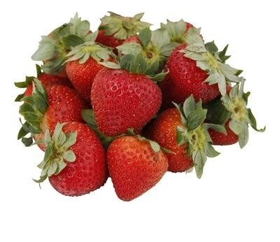 فراولة امريكي