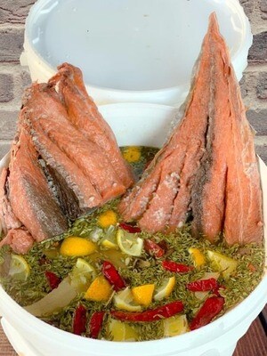 سطل سمك مالح
