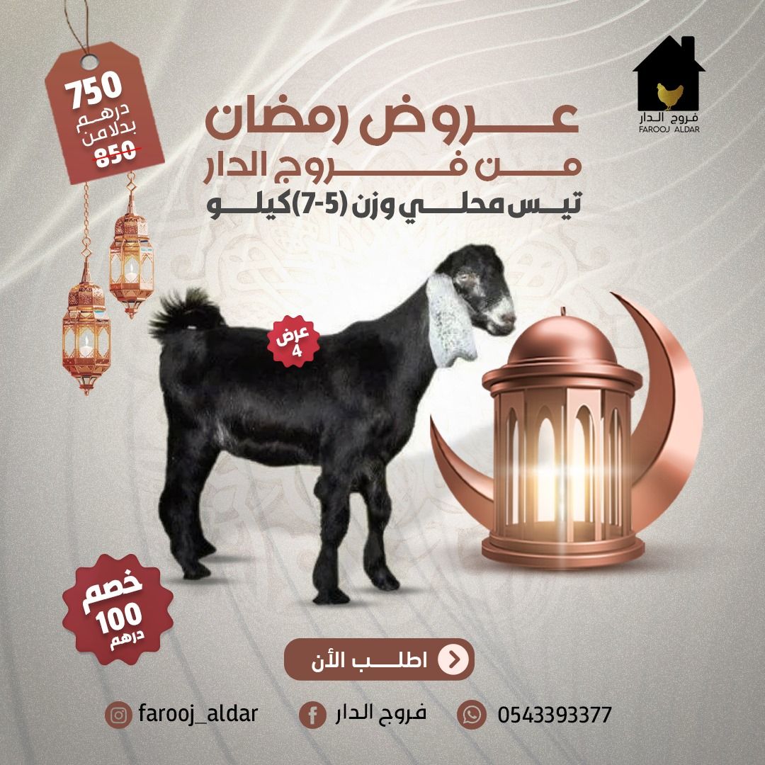 عروض رمضان من فروج الدار