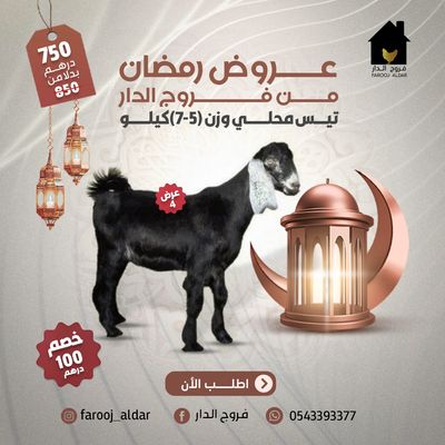 عروض رمضان من فروج الدار