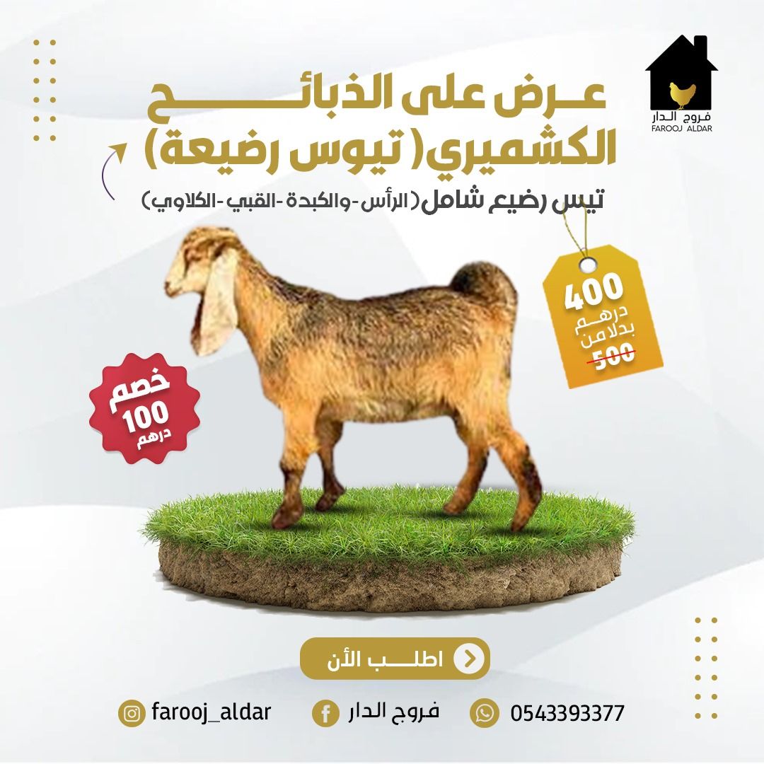 عروض رمضان من فروج الدار