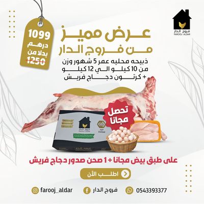 عرض مميز من فروج الدار