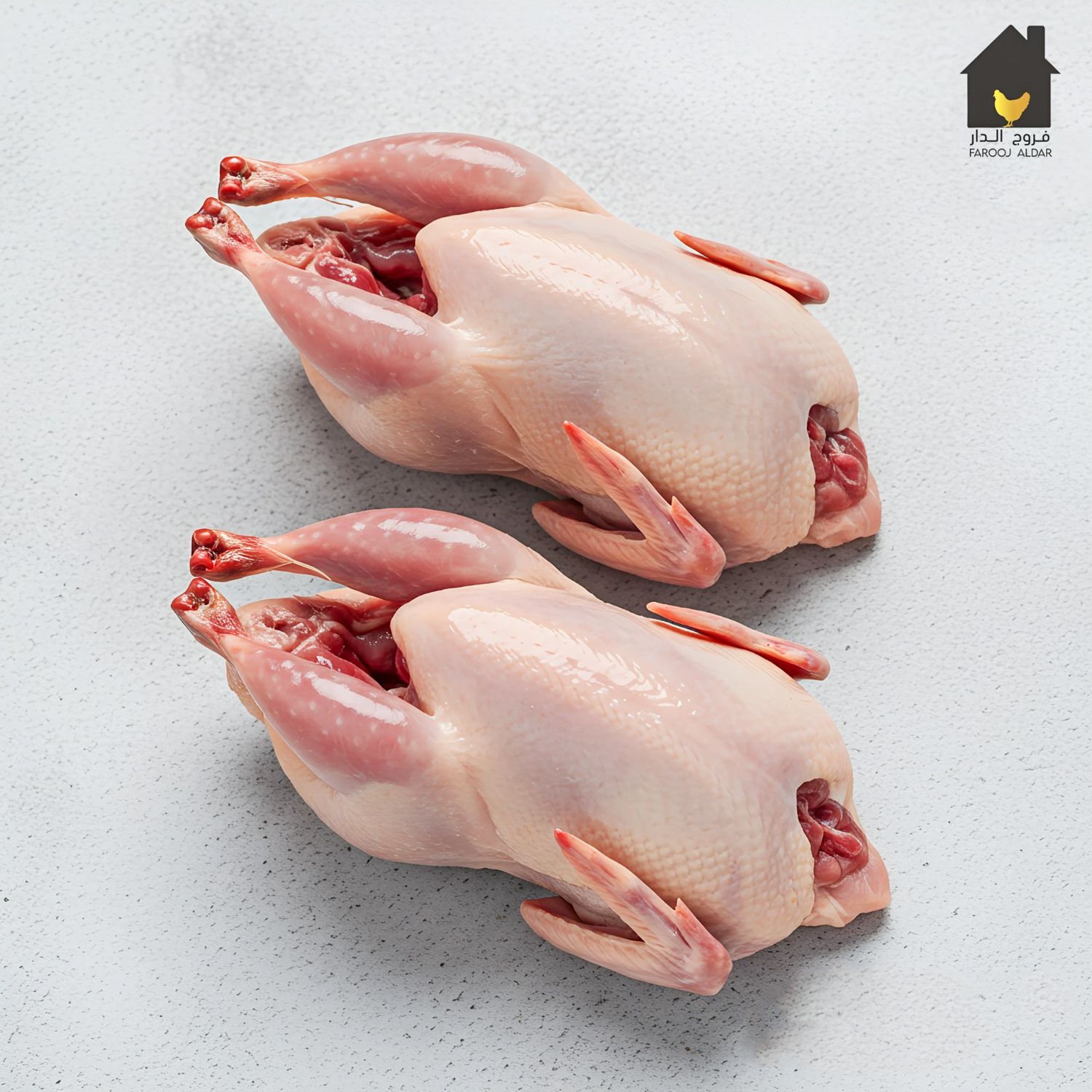 زوج حمام