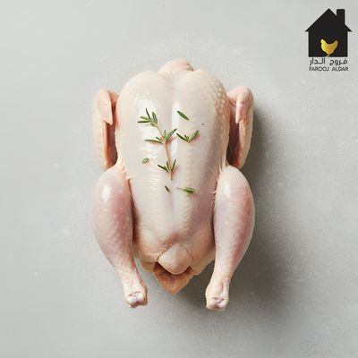 دجاج بلدي اورجانيك وزن من 500 جرام الي 600 جرام