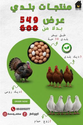 عرض منتجات بلدي