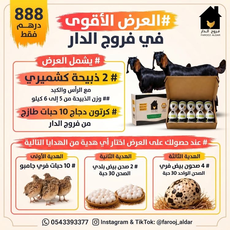 العرض الاقوي في فروج الدار