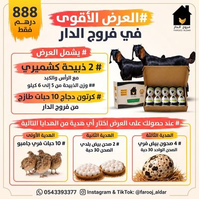 العرض الاقوي في فروج الدار