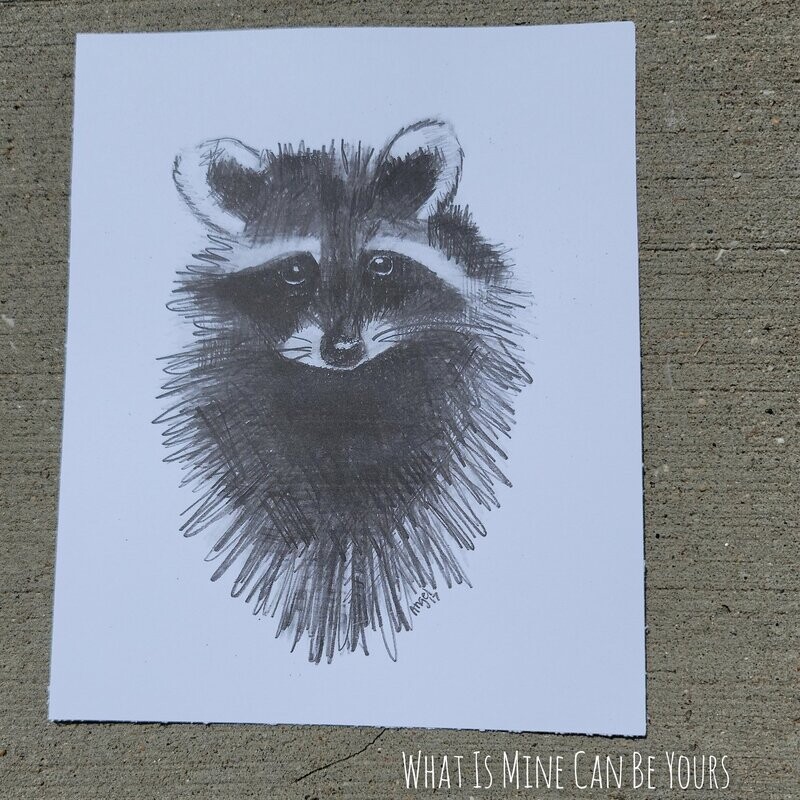 Raccoon Sketch Print