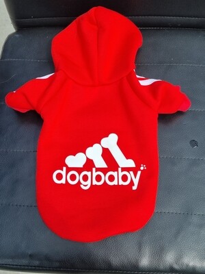 Dog baby