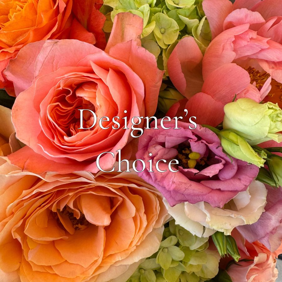 Designers Choice