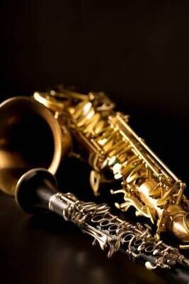 Palhetas para Saxofones e Clarinetes