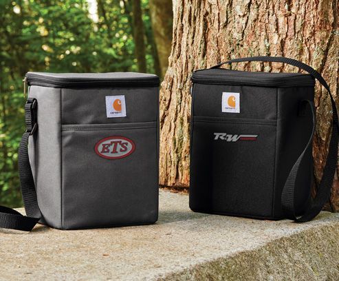 Vertical 12 can cooler