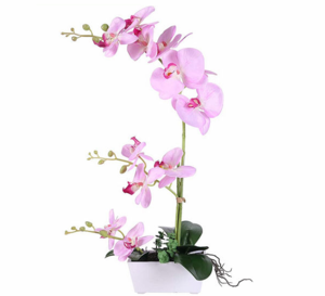 Artificial Orchid (Pink/Red)