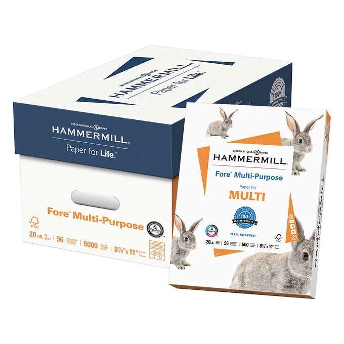 Hammermill Fore Multi-Purpose Paper, Letter, 20lb, 96-Bright, 10 Reams of 500 sheets