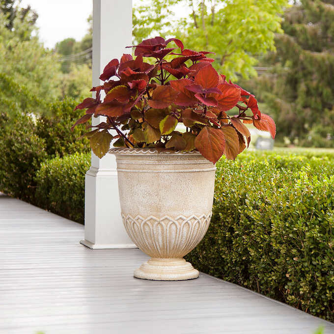 Clearwater Urn Planter, 2-pack Clearwater Urn Planter, 2-pack
