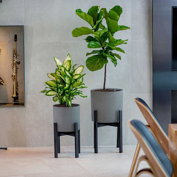 Vita Växa Planters, 2-pack