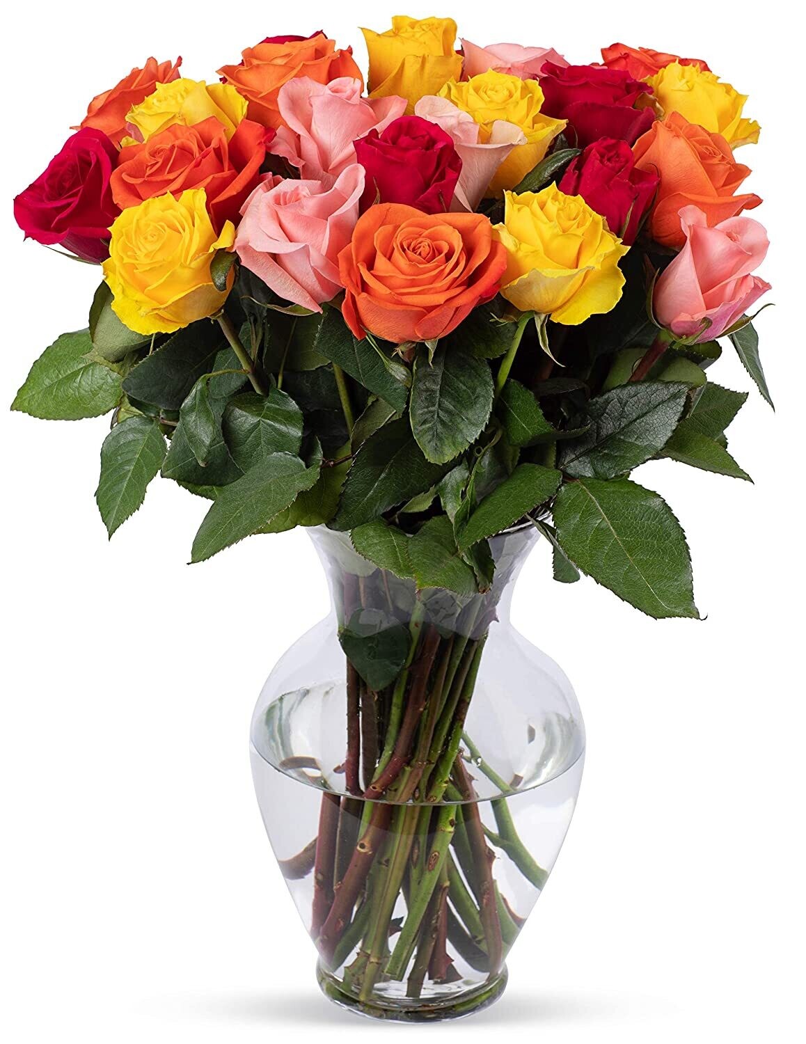 B  Bouquets 2 Dozen Rainbow Roses, With Vase (Fresh Cut Flowers)
