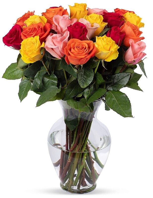 B  Bouquets 2 Dozen Rainbow Roses, With Vase (Fresh Cut Flowers)