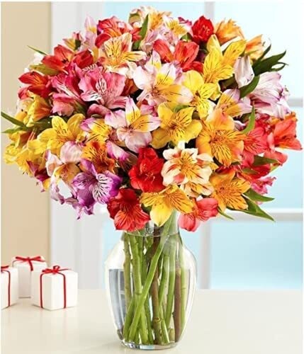 Multicolored Alstroemeria Bouquet Full Flowers
