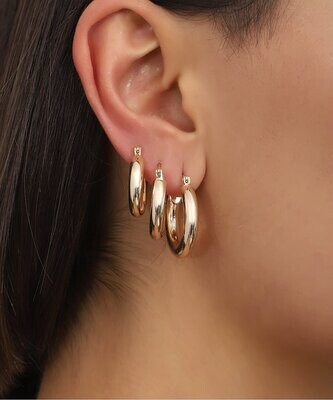 Goldtone Graduated Hoop Earrings Set