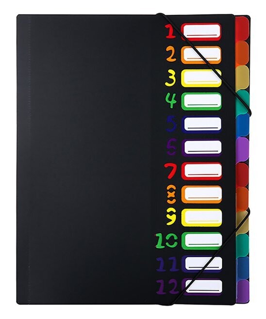 White 12-Pocket Expanding File Folder, Color: Black