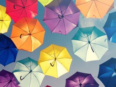 Umbrella