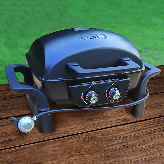 Nexgrill Cast Aluminum Table Top Gas BBQ