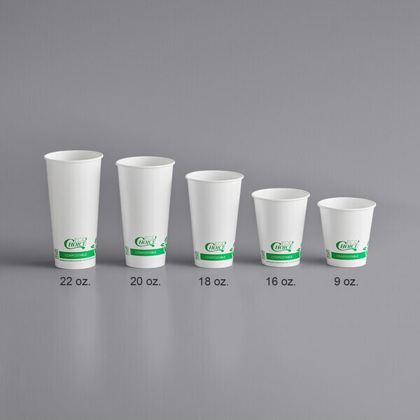 EcoChoice 9 oz. Compostable PLA Paper Cold Cup - 1000/Case