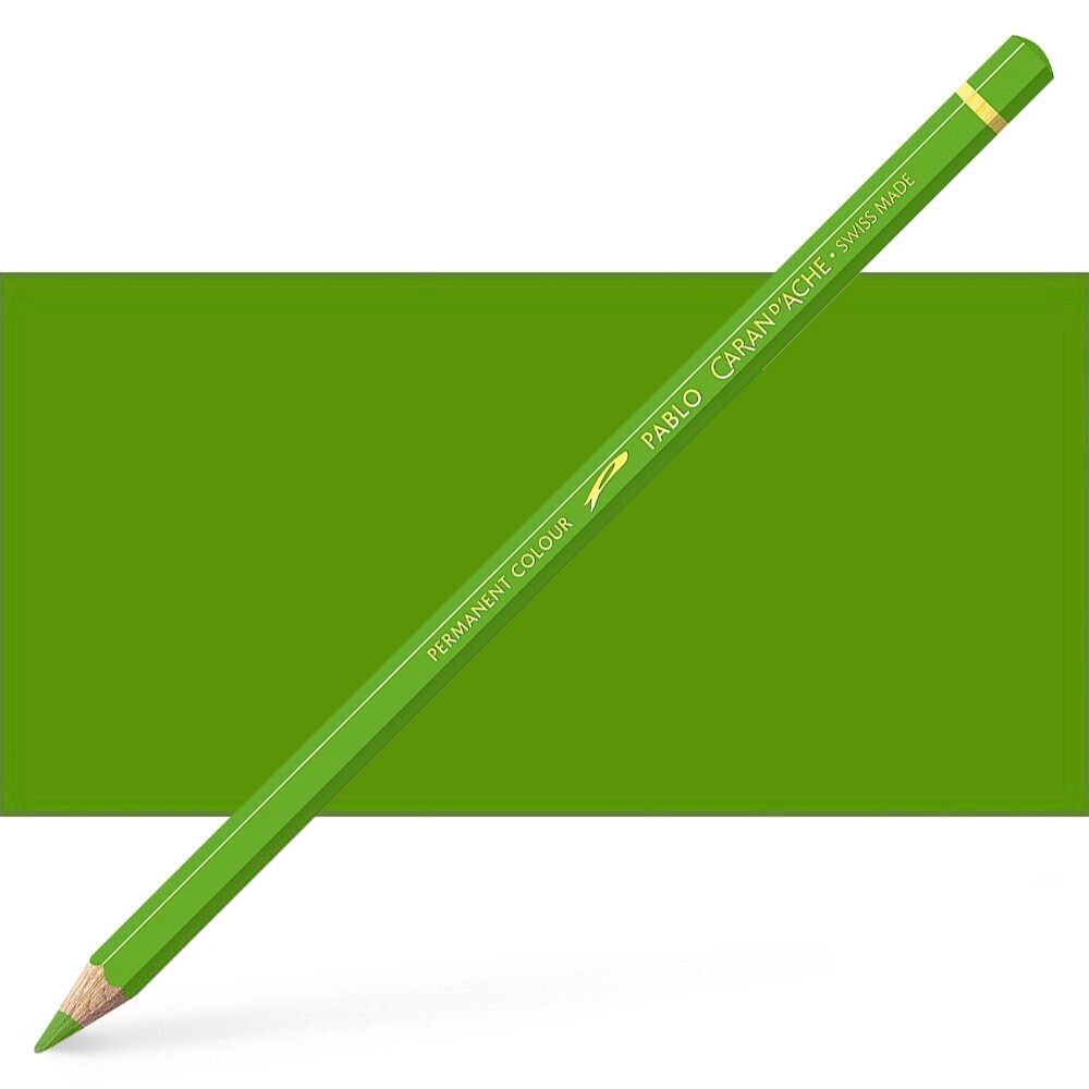 Caran D'ache Pablo Colored Pencil-khaki green