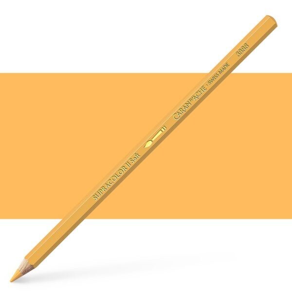 Caran D'ache Pablo Colored Pencil-Orangish yellow