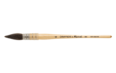 Caran D&#39;Ache Water colour Brush Raphael Petit Gris 4