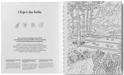 Caran D'Ache L’esprit Des Forêts A4 Colouring Book 25 Drawings 250 Gsm