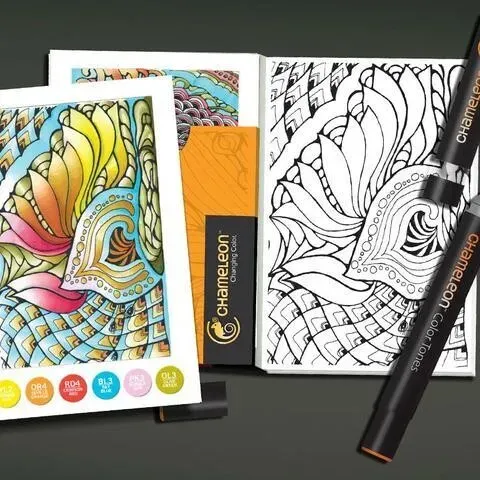 Chameleon Color Cards Zen Doodles