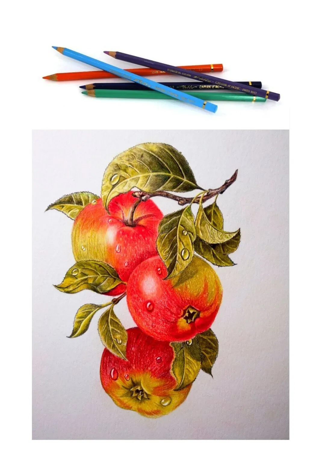 Caran D'Ache Pablo Artist Colored Pencils - 120 Permanent Colors | Professional Dry Lead Pencils for Illustrators &amp; Designers