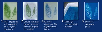 Jacquard Cyanotype Chemistry Set for making Prussian blue sun prints on paper and fabric