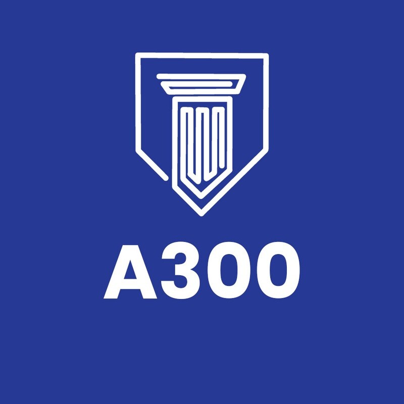 A300 Modern Philosophy