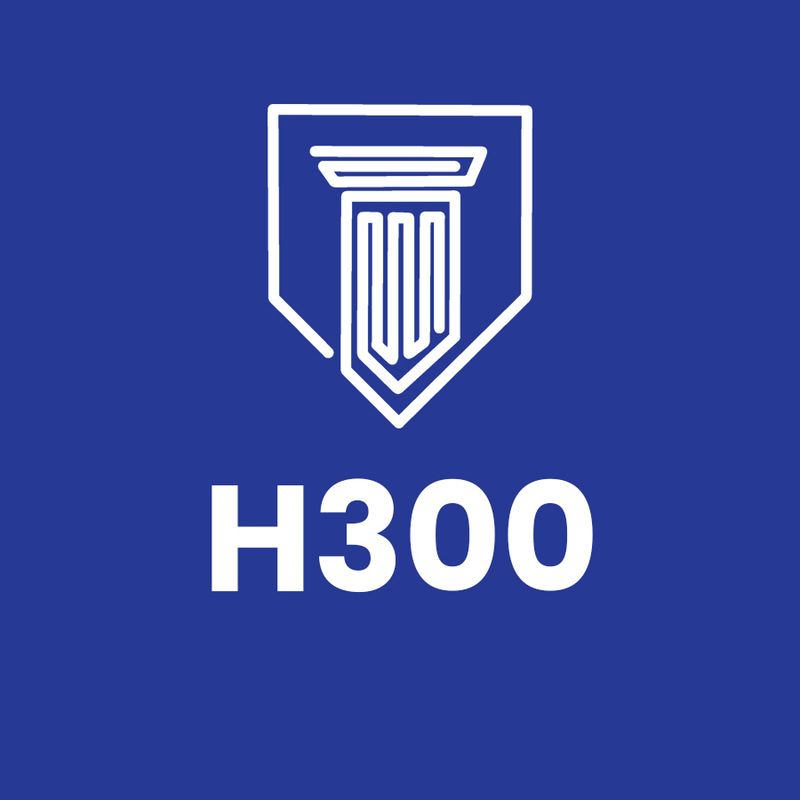 H300 The Medieval Underground