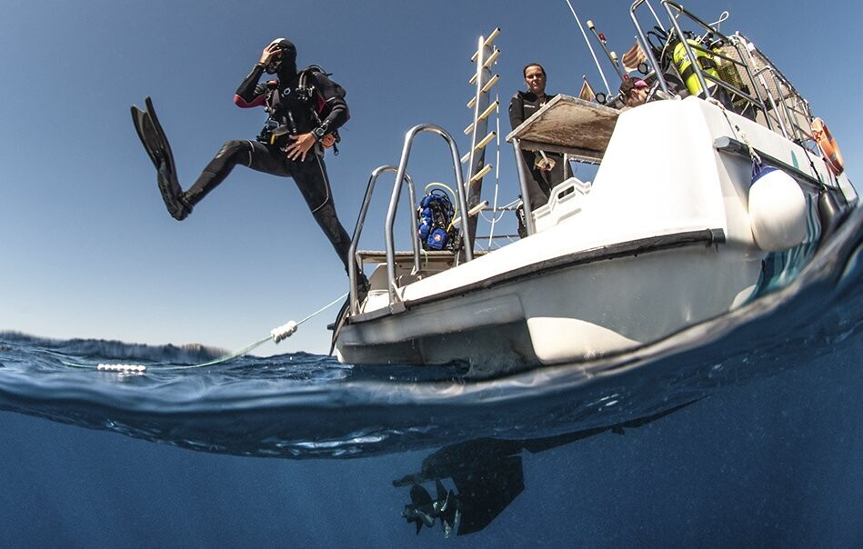 Fun Dive by Boat