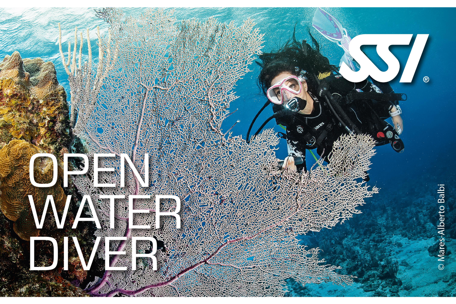 Open Water Diver SSI