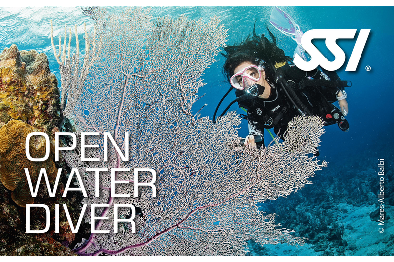 Open Water Diver SSI