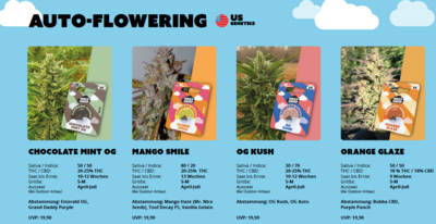 Premium Cannabissamen Auto Flowering