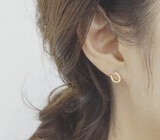 Horse Shoe Earrings