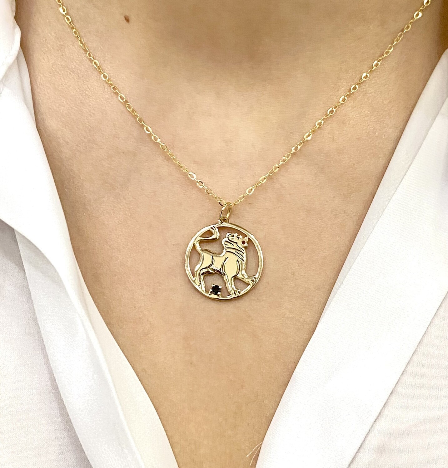 Upgraded Horoscope Necklace