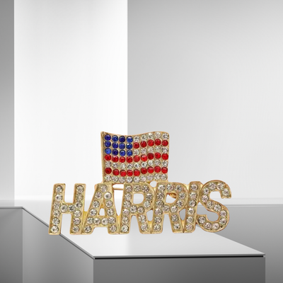 Harris American Flag Lapel Pin 