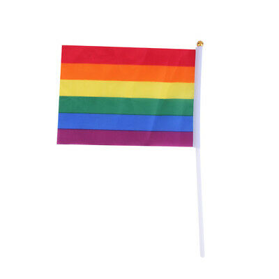 Hand held rainbow flag