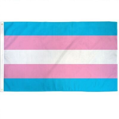 Transgender Wall Flag